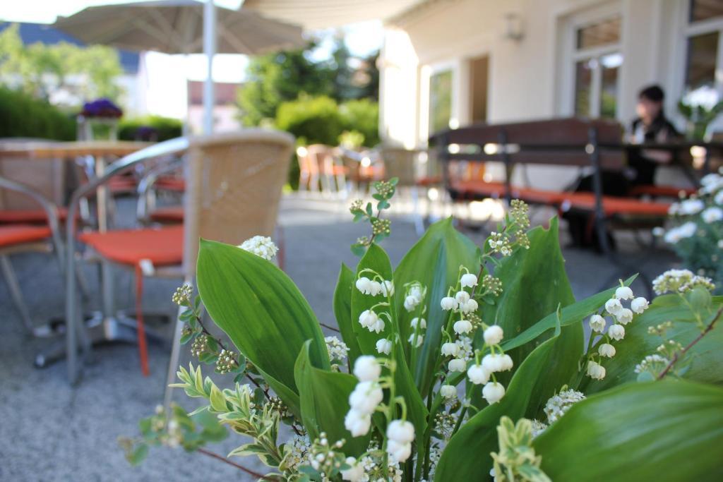 Lindenhof Hotel Thiendorf Exterior photo